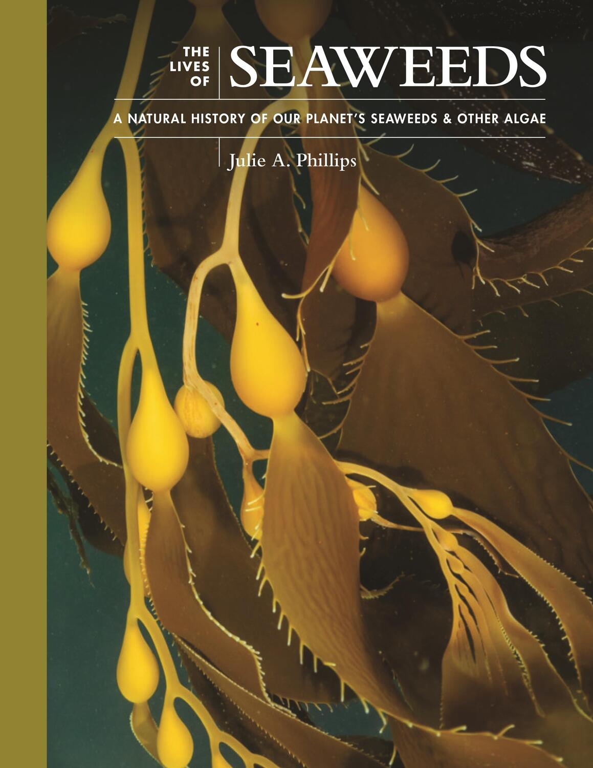 Cover: 9780691228556 | The Lives of Seaweeds | Julie A. Phillips | Buch | Gebunden | Englisch