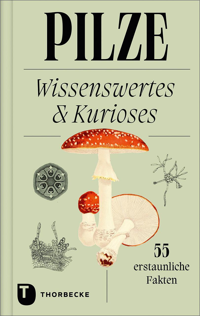 Cover: 9783799519748 | Pilze | Wissenswertes und Kurioses - 55 erstaunliche Fakten | Buch