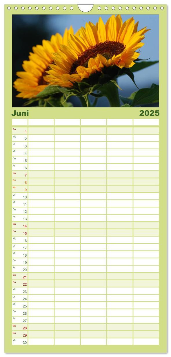 Bild: 9783457110928 | Familienplaner 2025 - Sonnenblumen mit 5 Spalten (Wandkalender, 21...