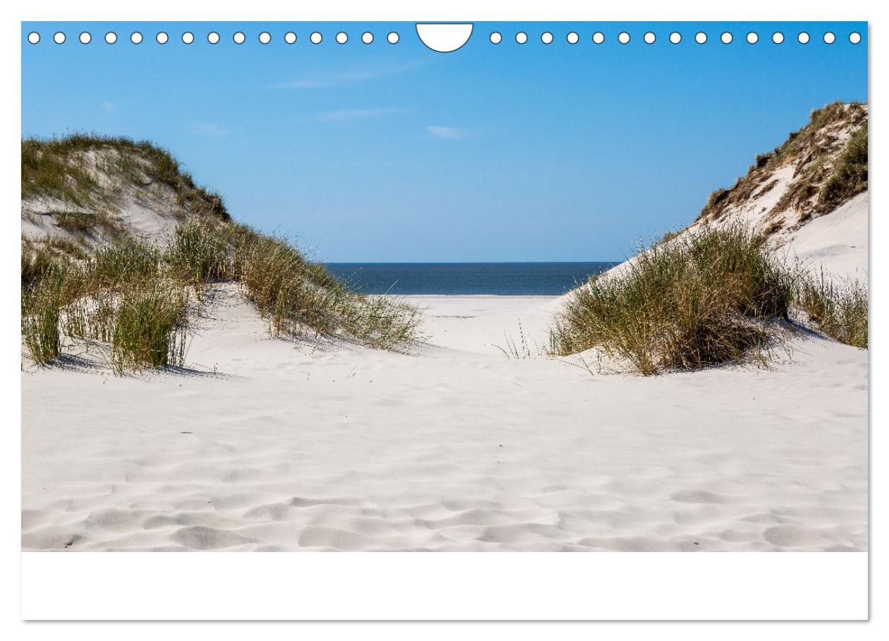 Bild: 9783383861031 | Amrum - Das Paradies in der Nordsee (Wandkalender 2025 DIN A4...