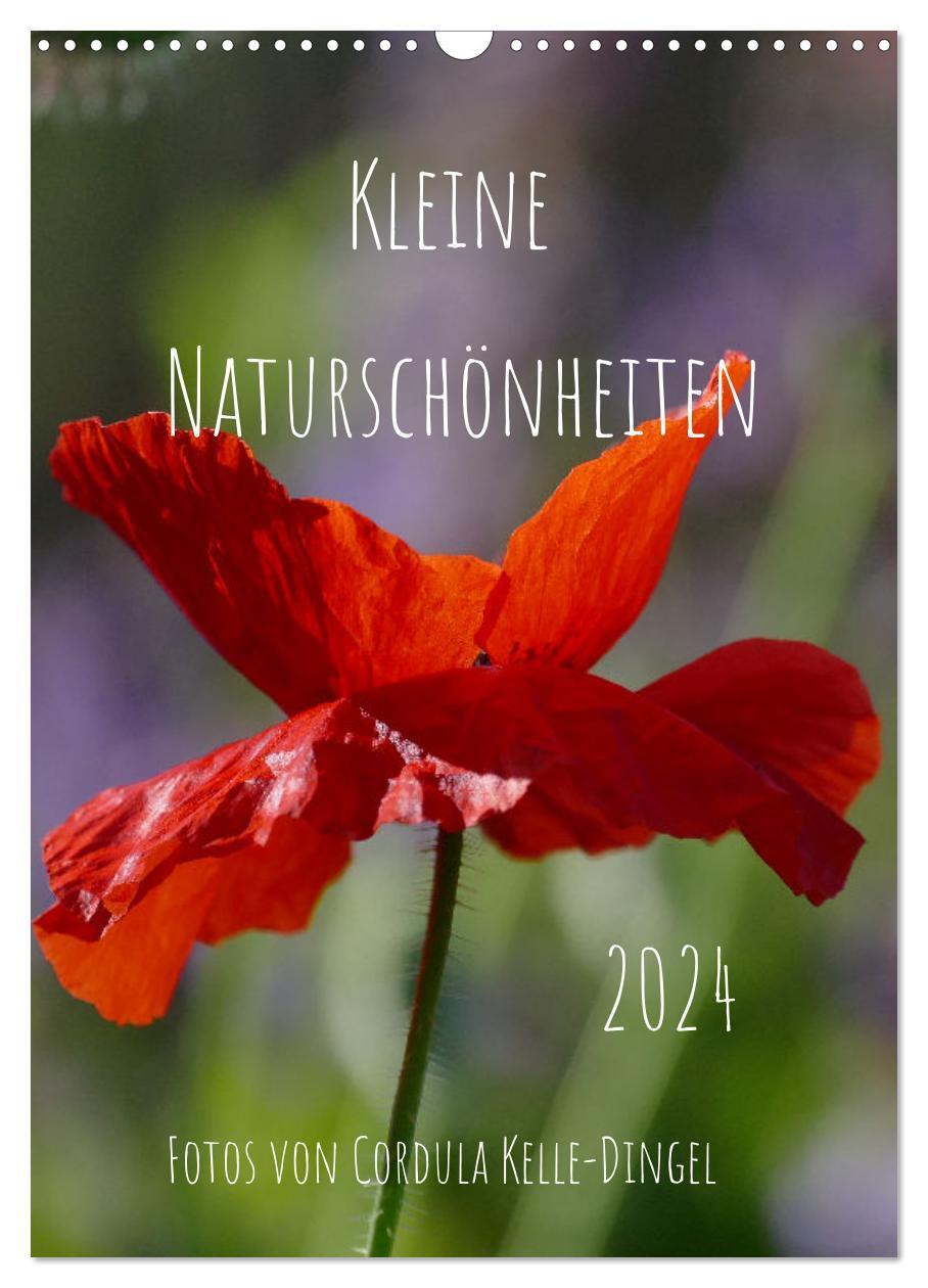 Cover: 9783383089800 | Kleine Naturschönheiten (Wandkalender 2024 DIN A3 hoch), CALVENDO...