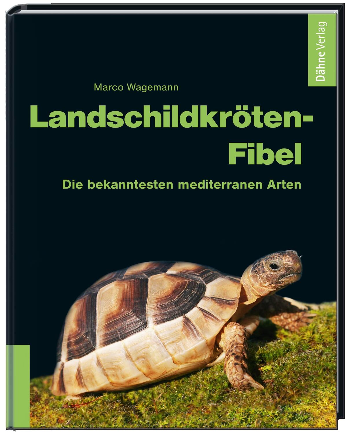 Cover: 9783935175968 | Landschildkröten-Fibel | Die bekanntesten mediterranen Arten | Buch