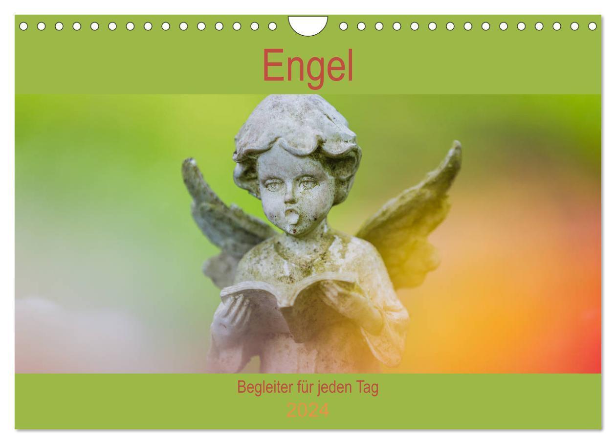 Cover: 9783383163036 | Engel - Begleiter für jeden Tag (Wandkalender 2024 DIN A4 quer),...