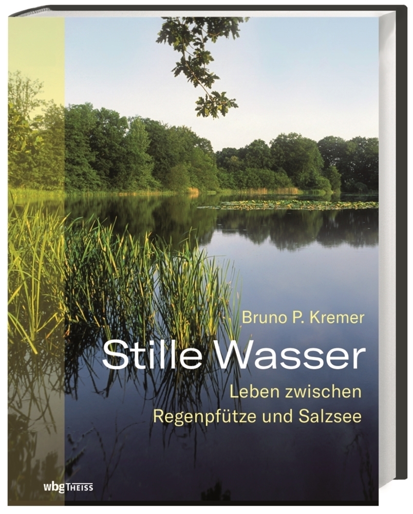Cover: 9783806238976 | Stille Wasser | Leben zwischen Regenpfütze und Salzsee | Kremer | Buch