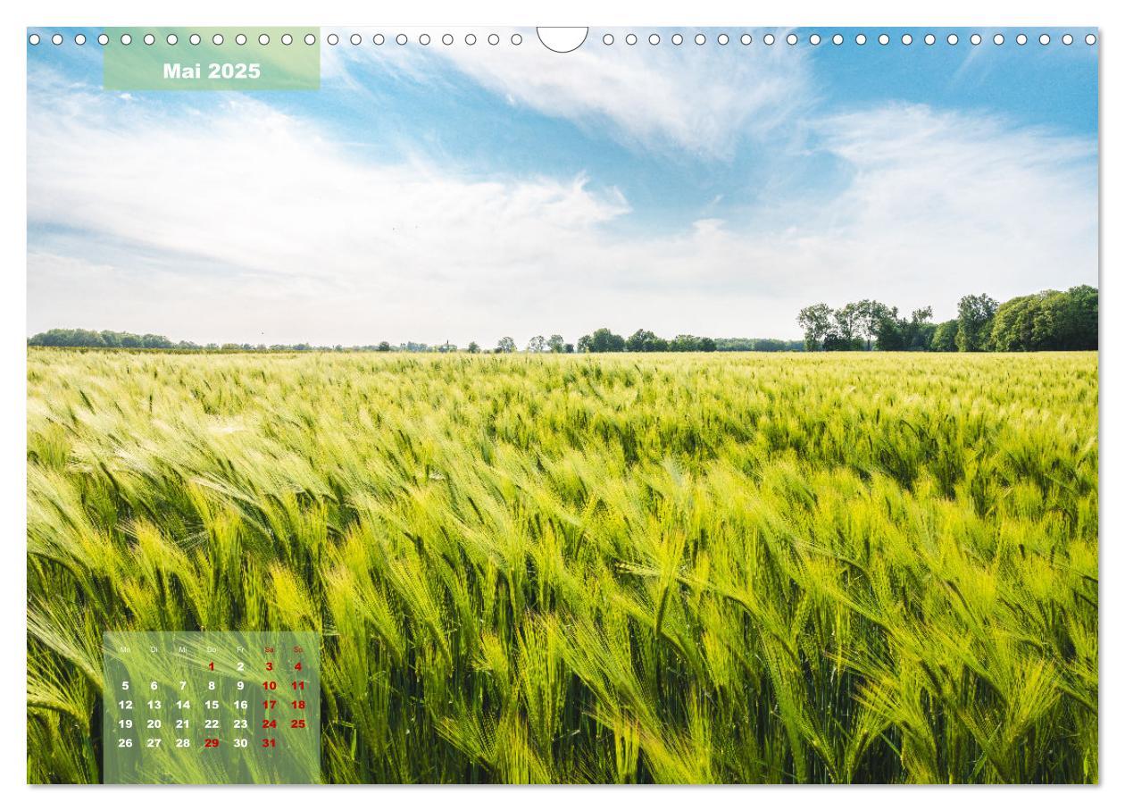 Bild: 9783383866937 | Ein Jahr Niederrhein Momente der Natur (Wandkalender 2025 DIN A3...