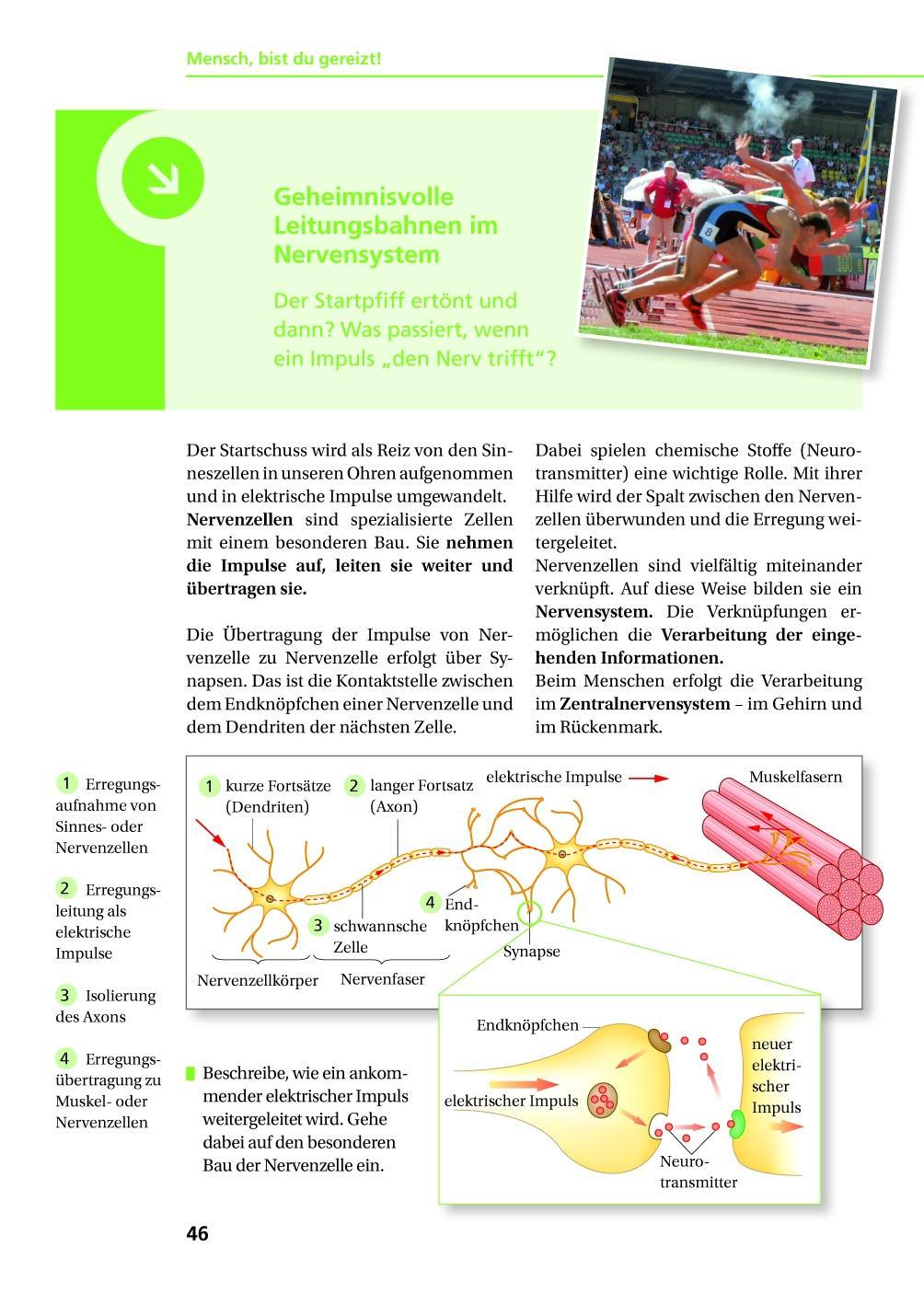 Bild: 9783835541030 | Biologie Na klar! 9/10 Lehrbuch Sachsen-Anhalt Sekundarschule | Berger