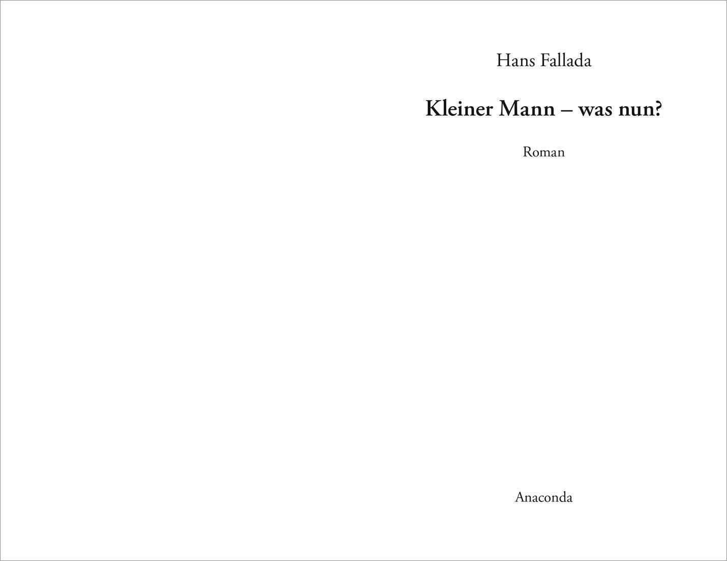 Bild: 9783730605899 | Kleiner Mann - was nun? (Roman) | Hans Fallada | Buch | 432 S. | 2018