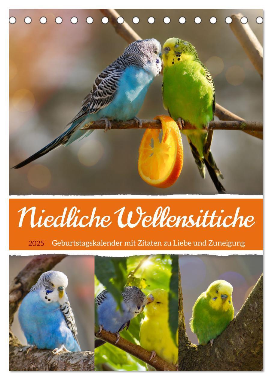 Cover: 9783435889655 | Niedliche Wellensittiche (Tischkalender 2025 DIN A5 hoch), CALVENDO...