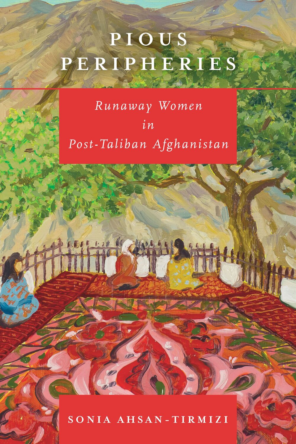 Cover: 9781503614710 | Pious Peripheries: Runaway Women in Post-Taliban Afghanistan | Buch