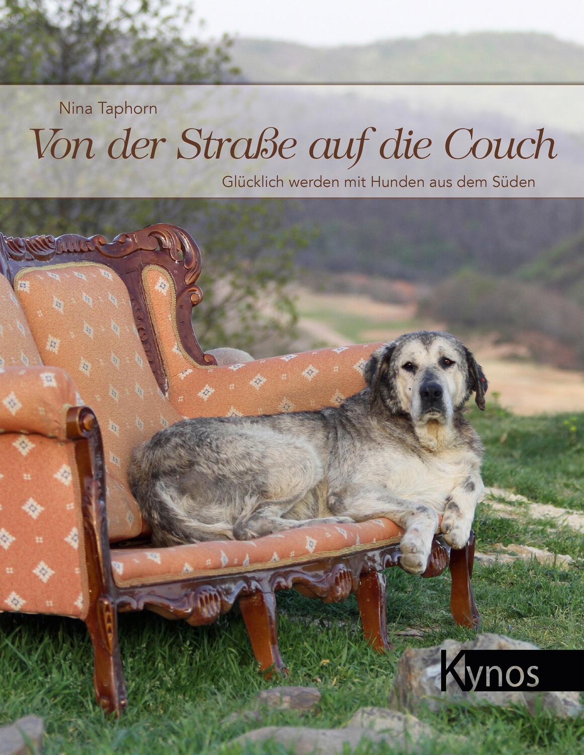 Cover: 9783954641314 | Von der Straße auf die Couch | Nina Taphorn | Buch | Deutsch | 2017