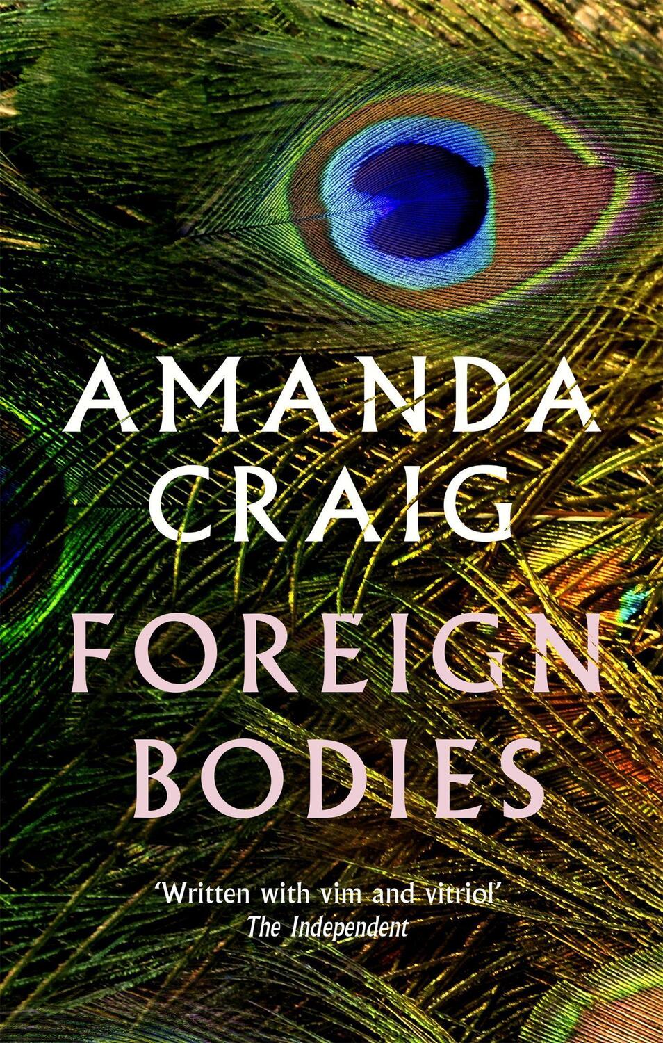Cover: 9780349145044 | Foreign Bodies | Amanda Craig | Taschenbuch | Kartoniert / Broschiert