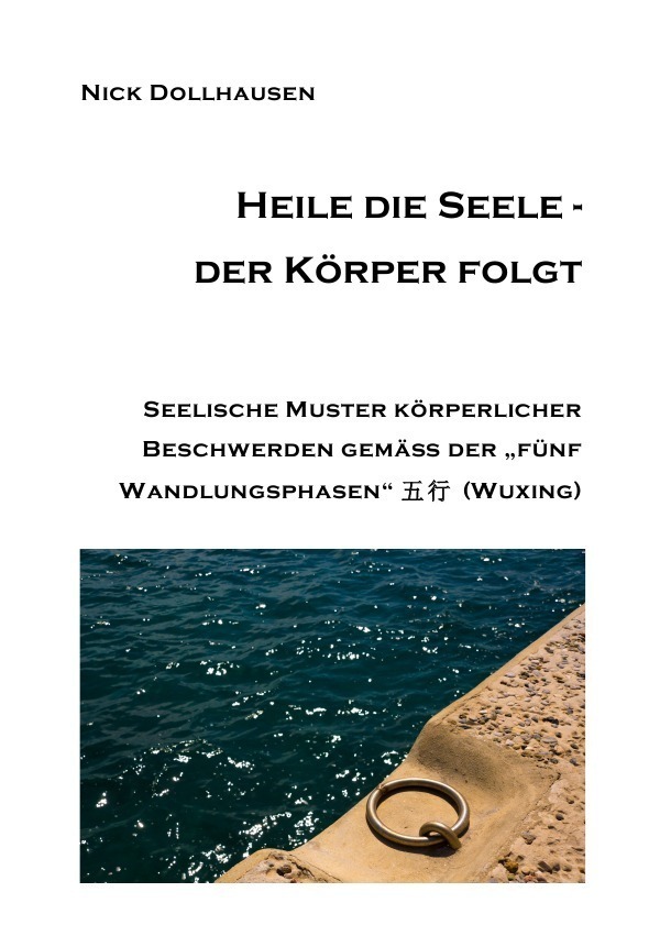 Cover: 9783737516624 | Heile die Seele - der Körper folgt | Nick Dollhausen | Taschenbuch