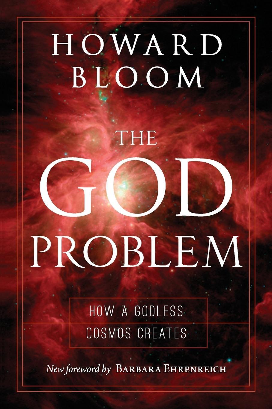 Cover: 9781633881426 | The God Problem | How a Godless Cosmos Creates | Howard Bloom | Buch