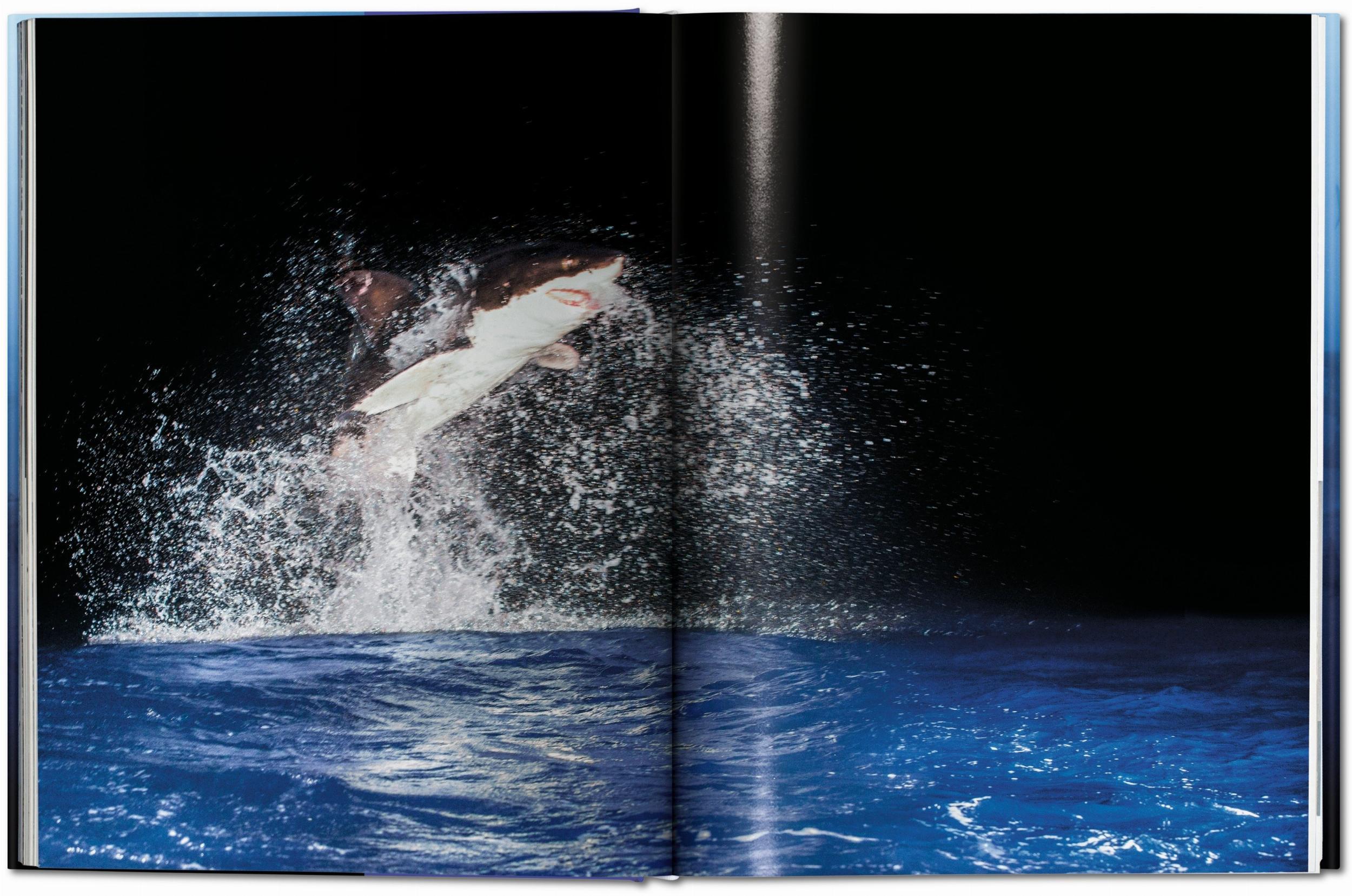 Bild: 9783836553599 | Michael Muller. Sharks | Philippe Cousteau (u. a.) | Buch | 334 S.