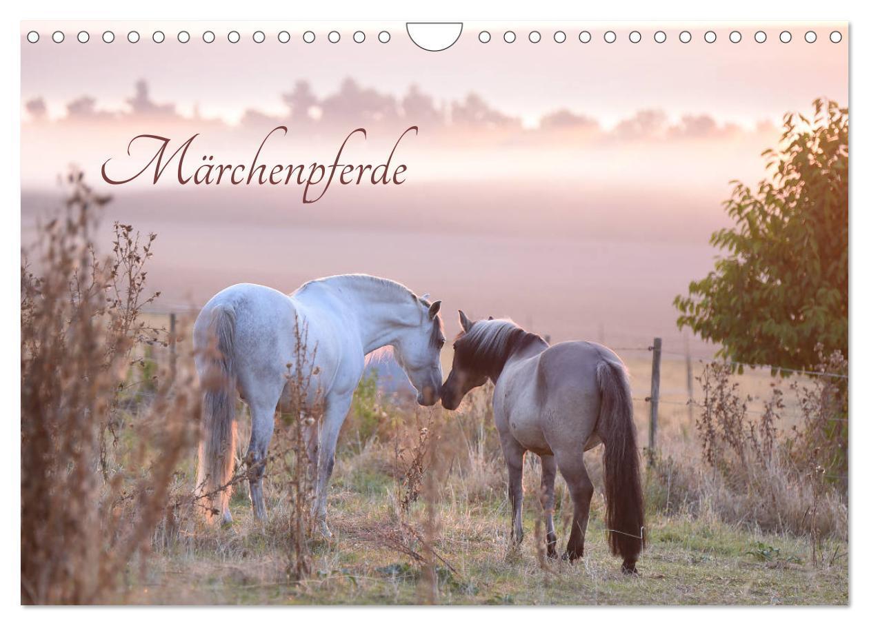 Cover: 9783435420414 | Märchenpferde (Wandkalender 2025 DIN A4 quer), CALVENDO Monatskalender