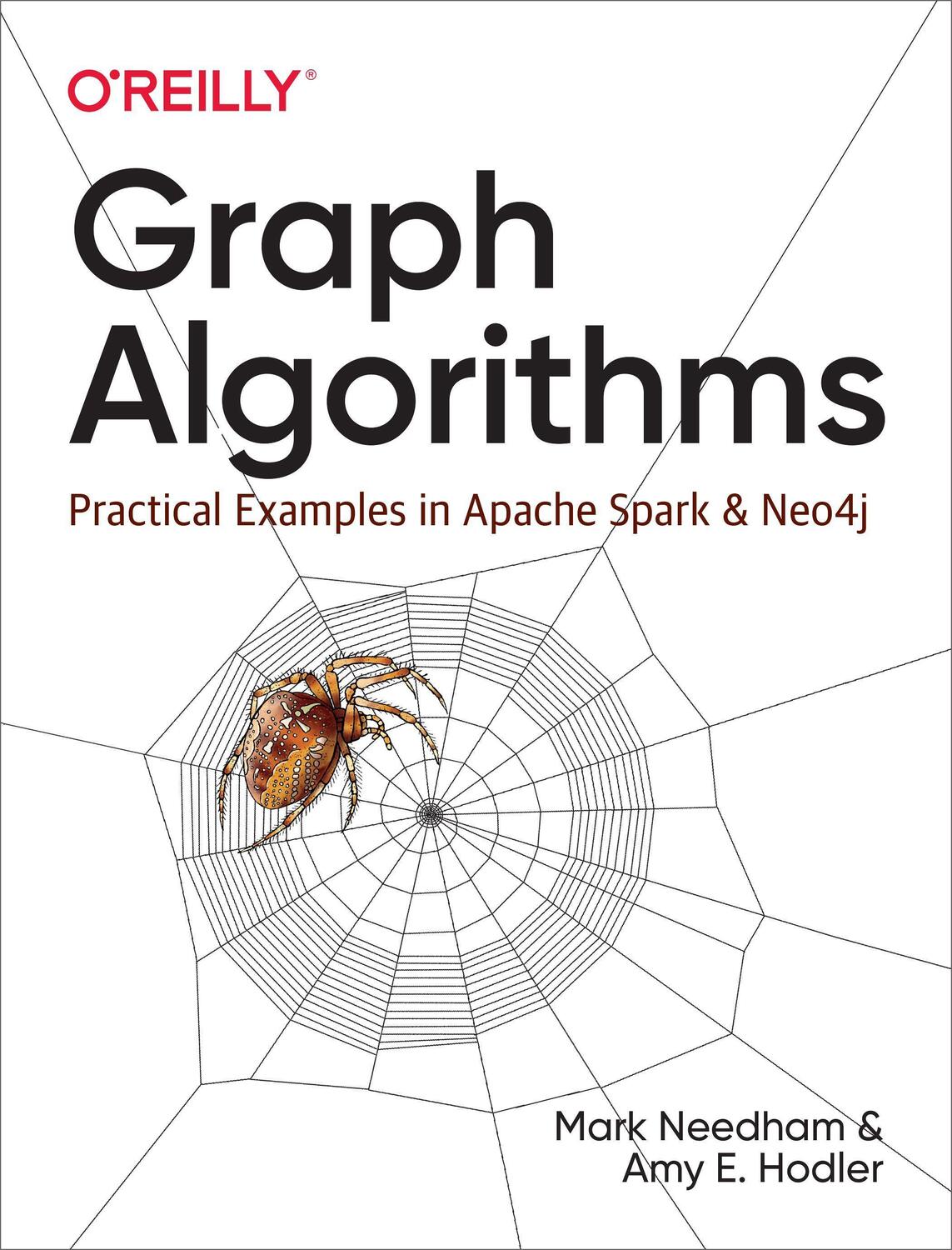 Cover: 9781492047681 | Graph Algorithms: Practical Examples in Apache Spark and Neo4j | Buch