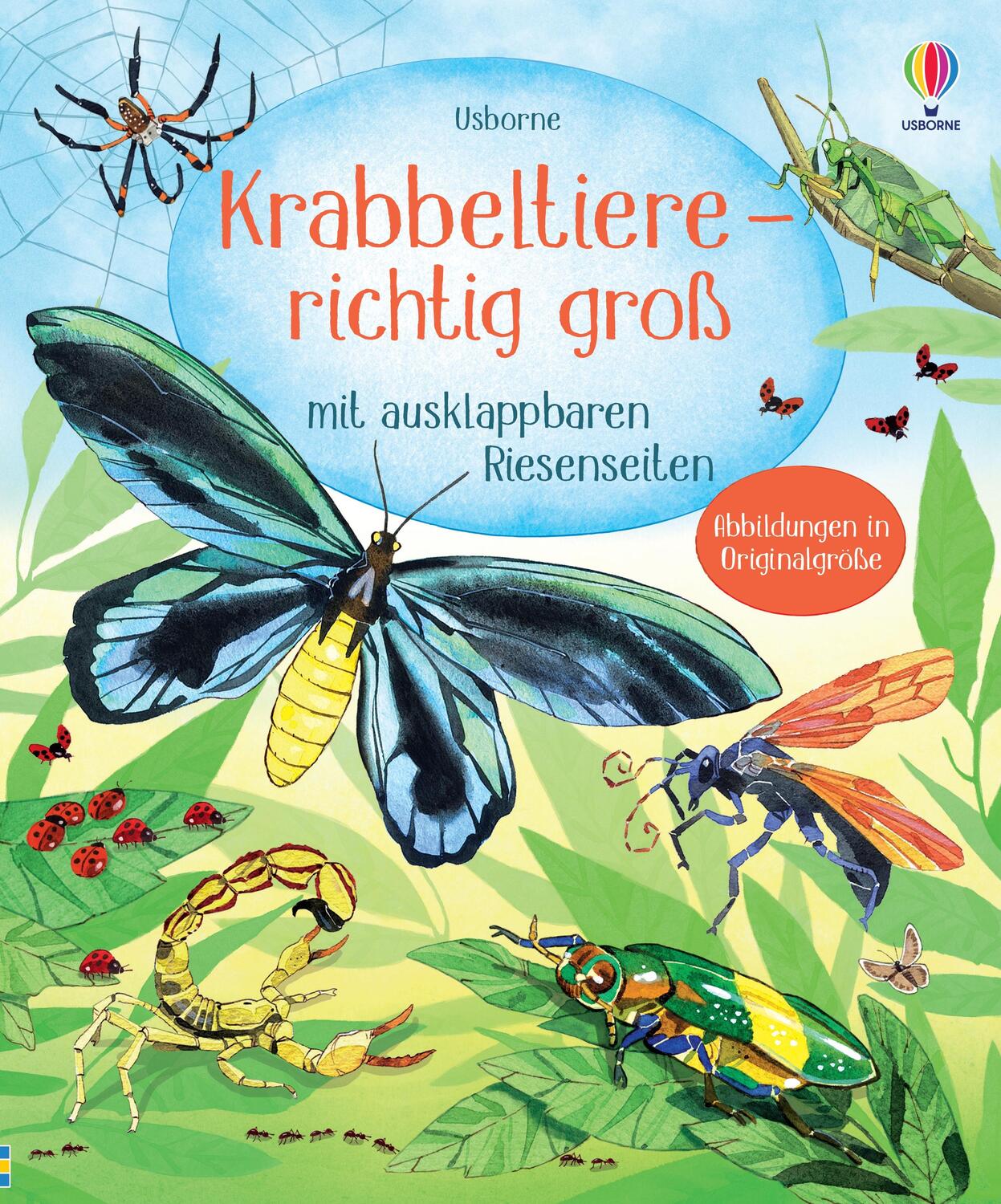 Cover: 9781035701094 | Krabbeltiere - richtig groß | Buch | 16 S. | Deutsch | 2024 | Usborne