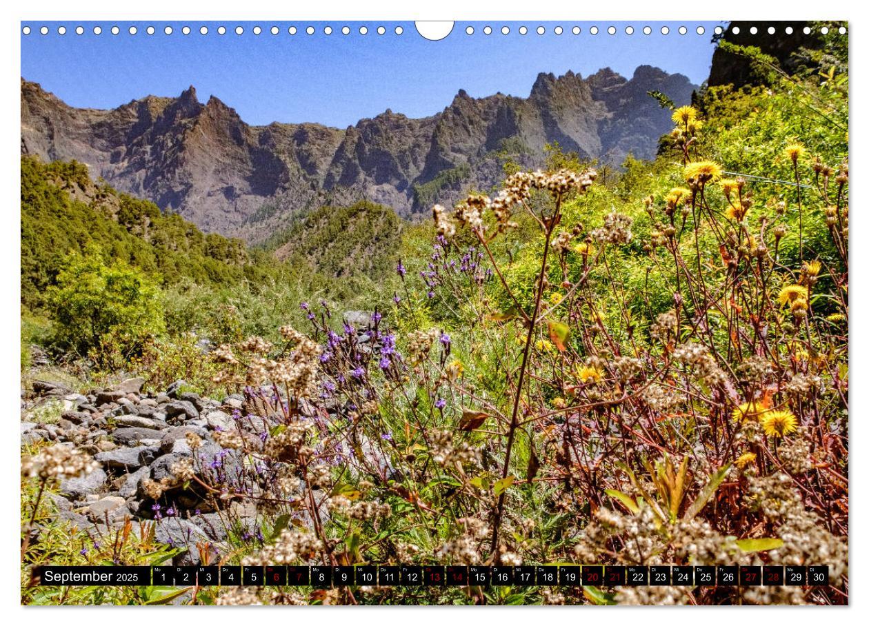 Bild: 9783435328017 | Natur pur erleben auf La Palma (Wandkalender 2025 DIN A3 quer),...