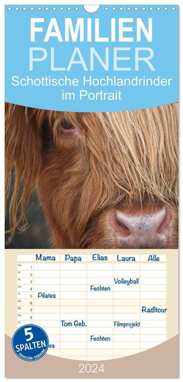Cover: 9783383092541 | Familienplaner 2024 - Schottische Hochlandrinder - Highland Cattle...