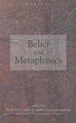 Cover: 9780334041375 | Belief and Metaphysics | Conor Cunningham | Taschenbuch | Paperback