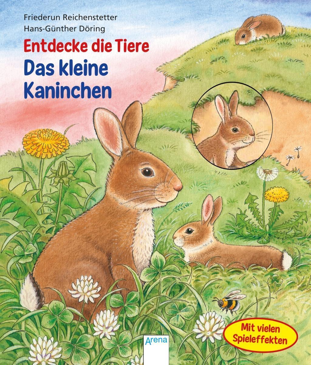 Cover: 9783401708041 | Entdecke die Tiere. Das kleine Kaninchen | Friederun Reichenstetter