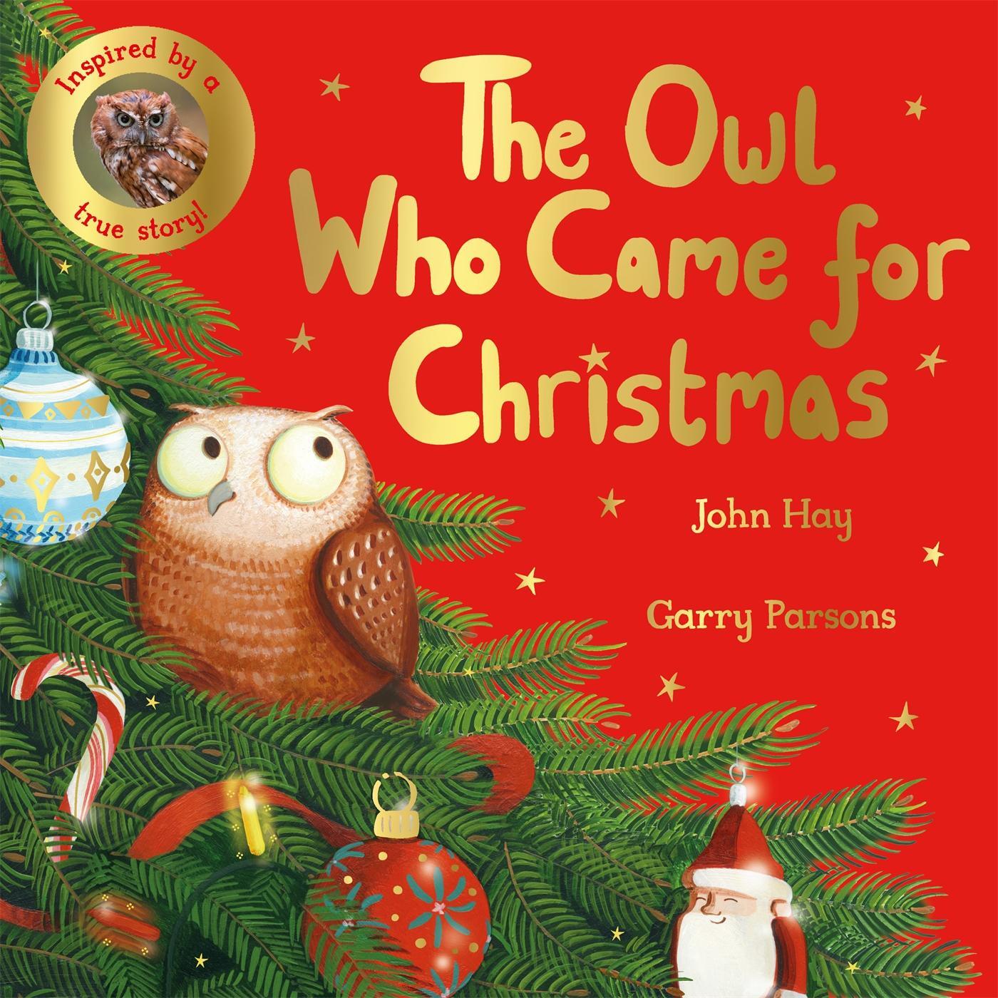 Cover: 9781529070507 | The Owl Who Came for Christmas | John Hay | Taschenbuch | Englisch