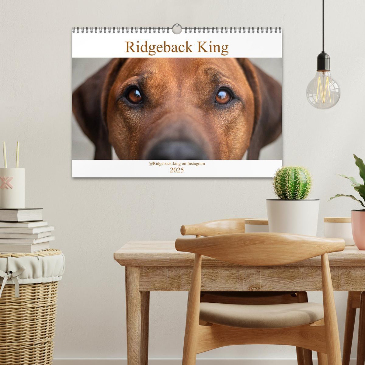 Bild: 9783435268320 | Ridgeback King (Wandkalender 2025 DIN A3 quer), CALVENDO...