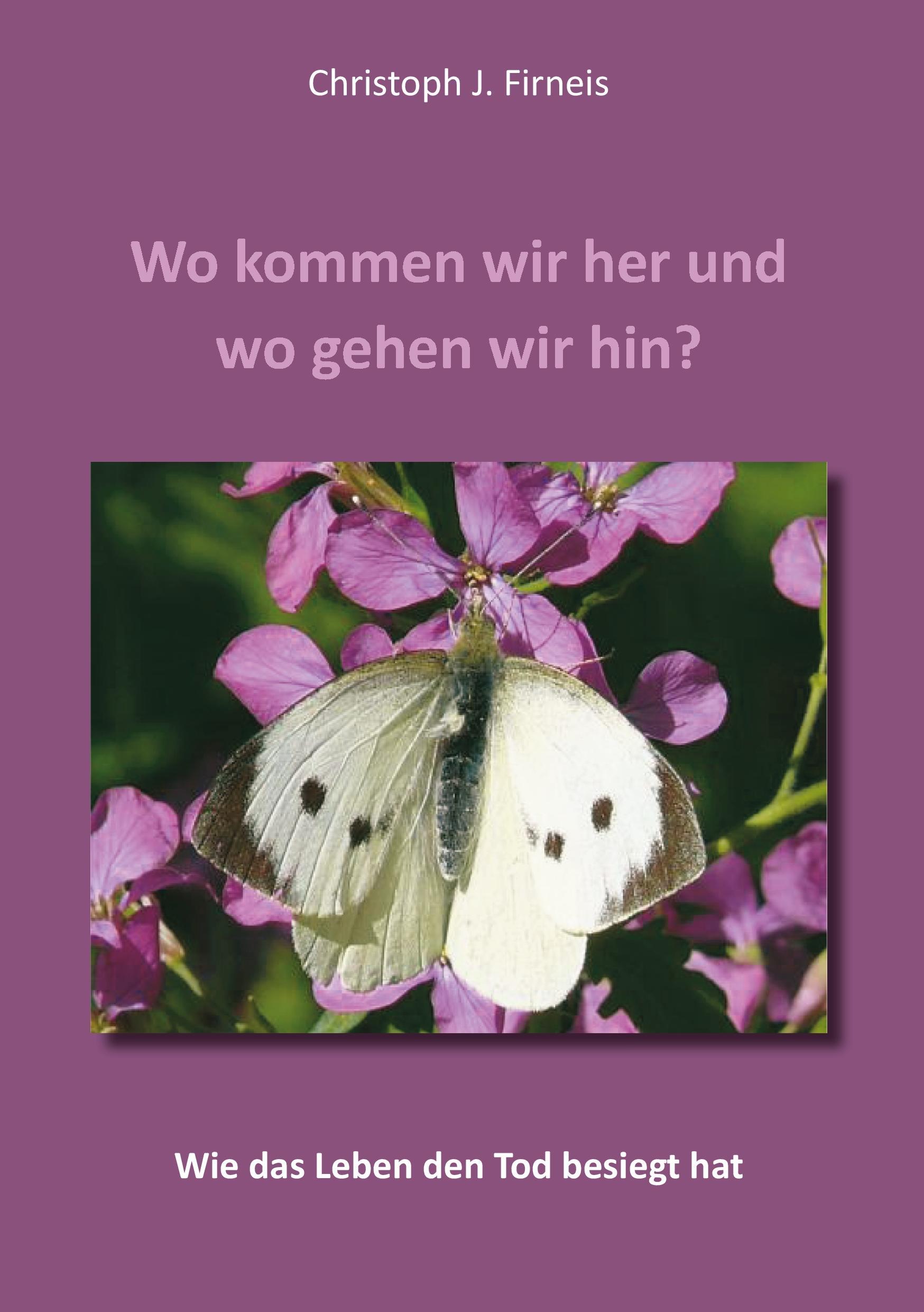 Cover: 9783738690354 | Wo kommen wir her und wo gehen wir hin? | Christoph Firneis | Buch