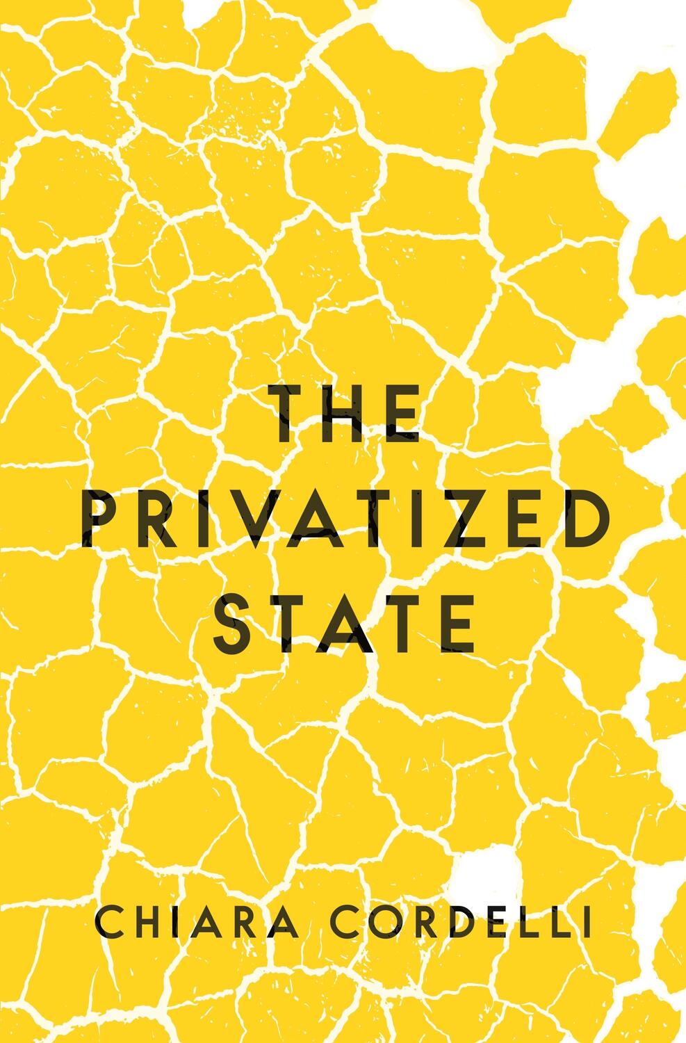 Cover: 9780691211725 | The Privatized State | Chiara Cordelli | Taschenbuch | Englisch | 2022