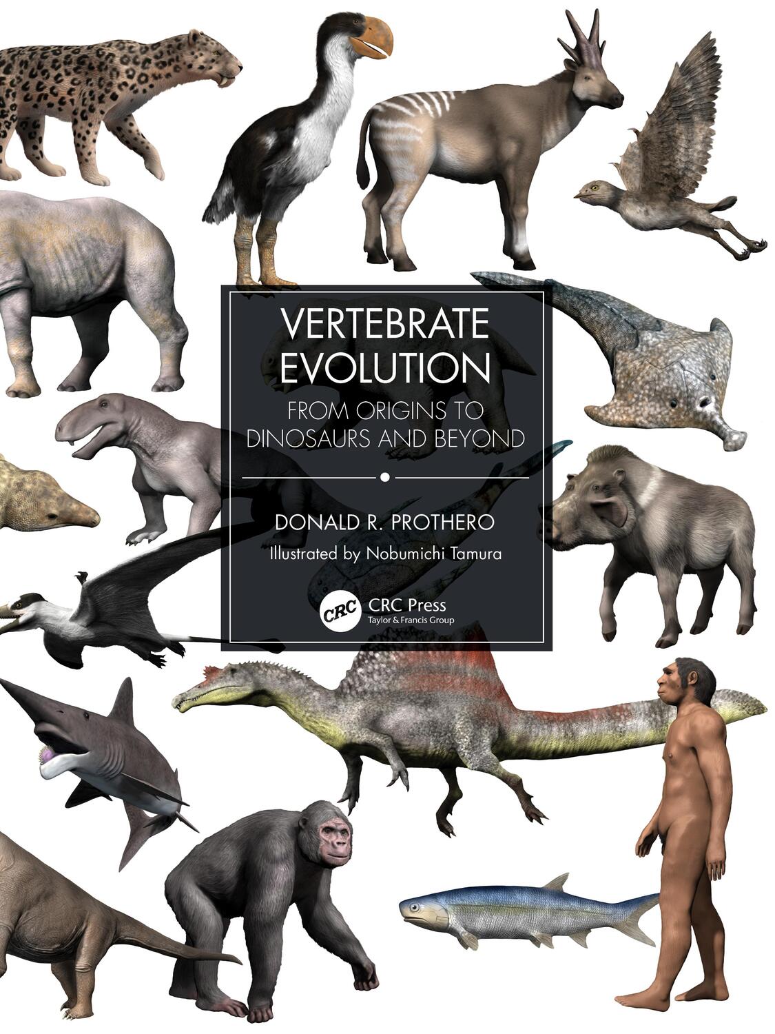 Cover: 9780367473167 | Vertebrate Evolution | From Origins to Dinosaurs and Beyond | Prothero