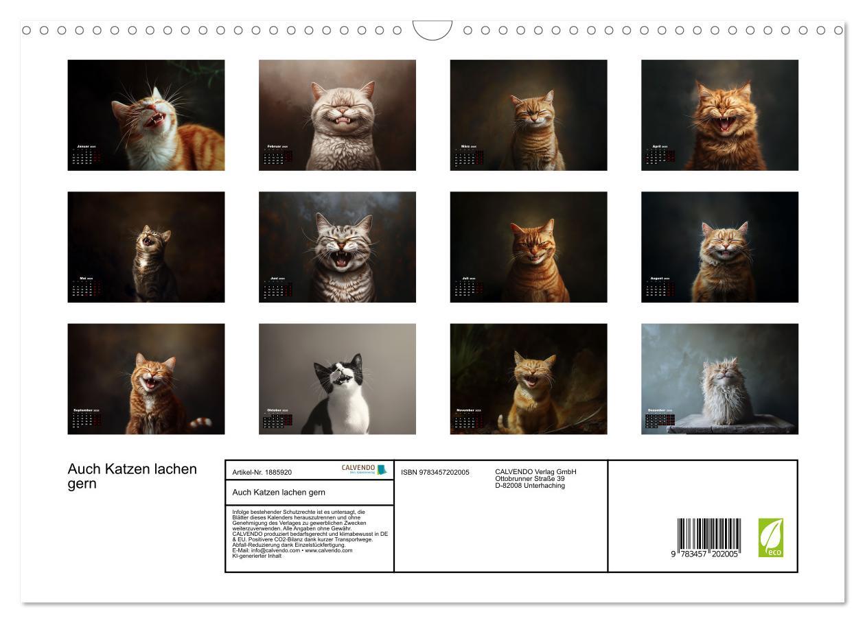 Bild: 9783457202005 | Auch Katzen lachen gern (Wandkalender 2025 DIN A3 quer), CALVENDO...