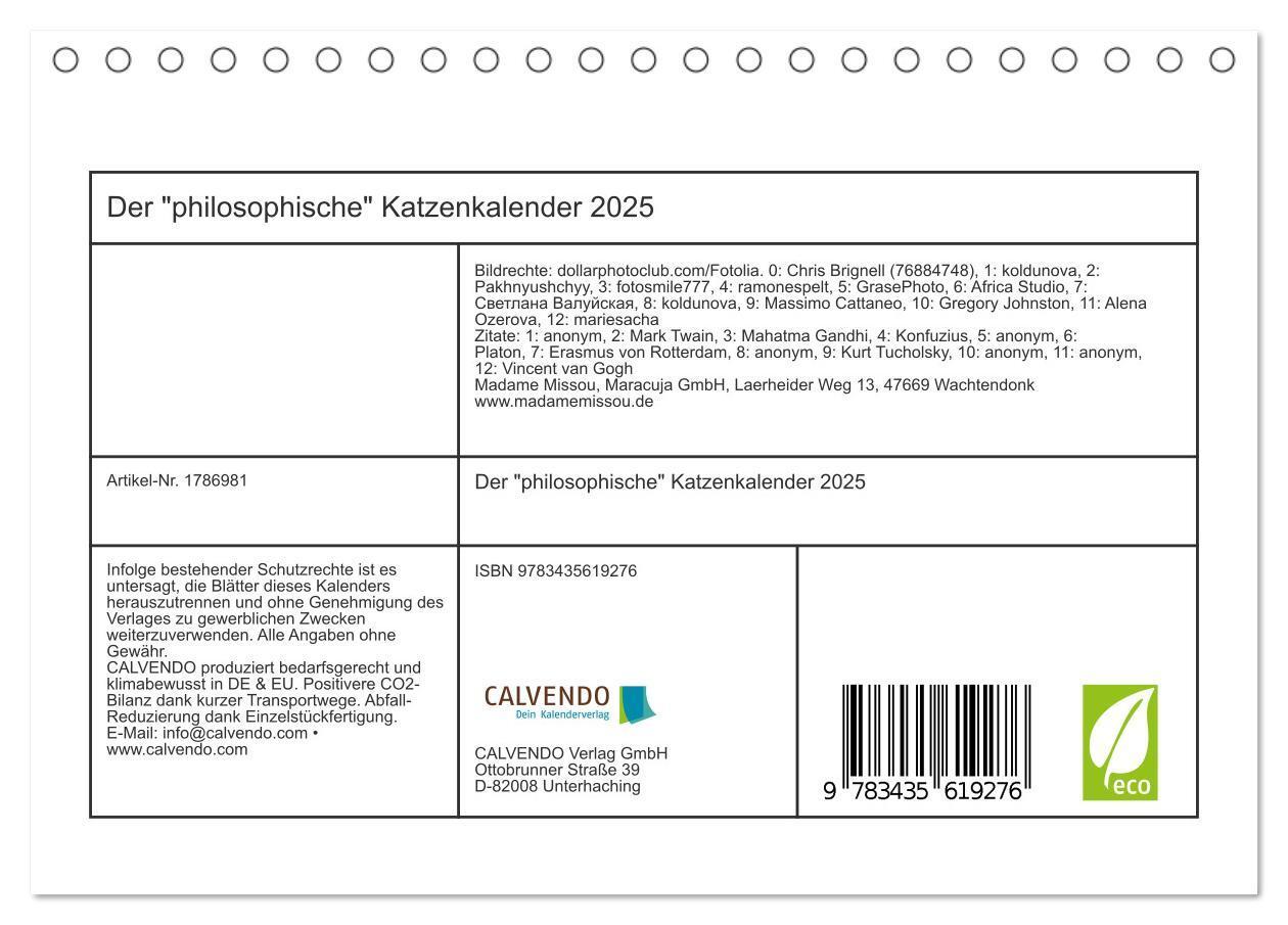 Bild: 9783435619276 | Der "philosophische" Katzenkalender 2025 (Tischkalender 2025 DIN A5...