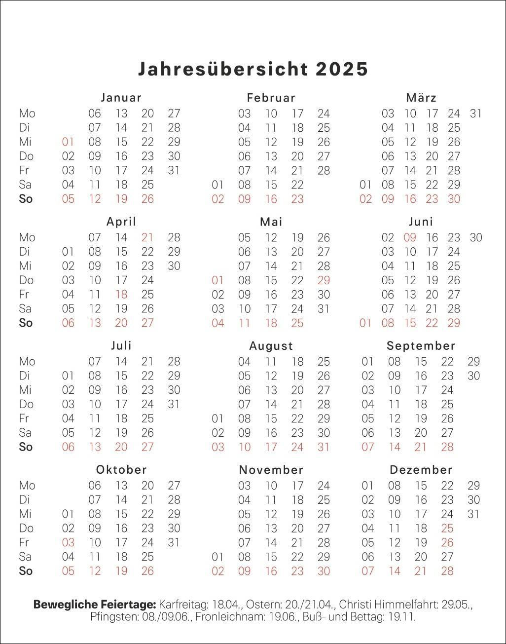 Bild: 9783756406289 | Simons Katze Tagesabreißkalender 2025 | Simon Tofield | Kalender