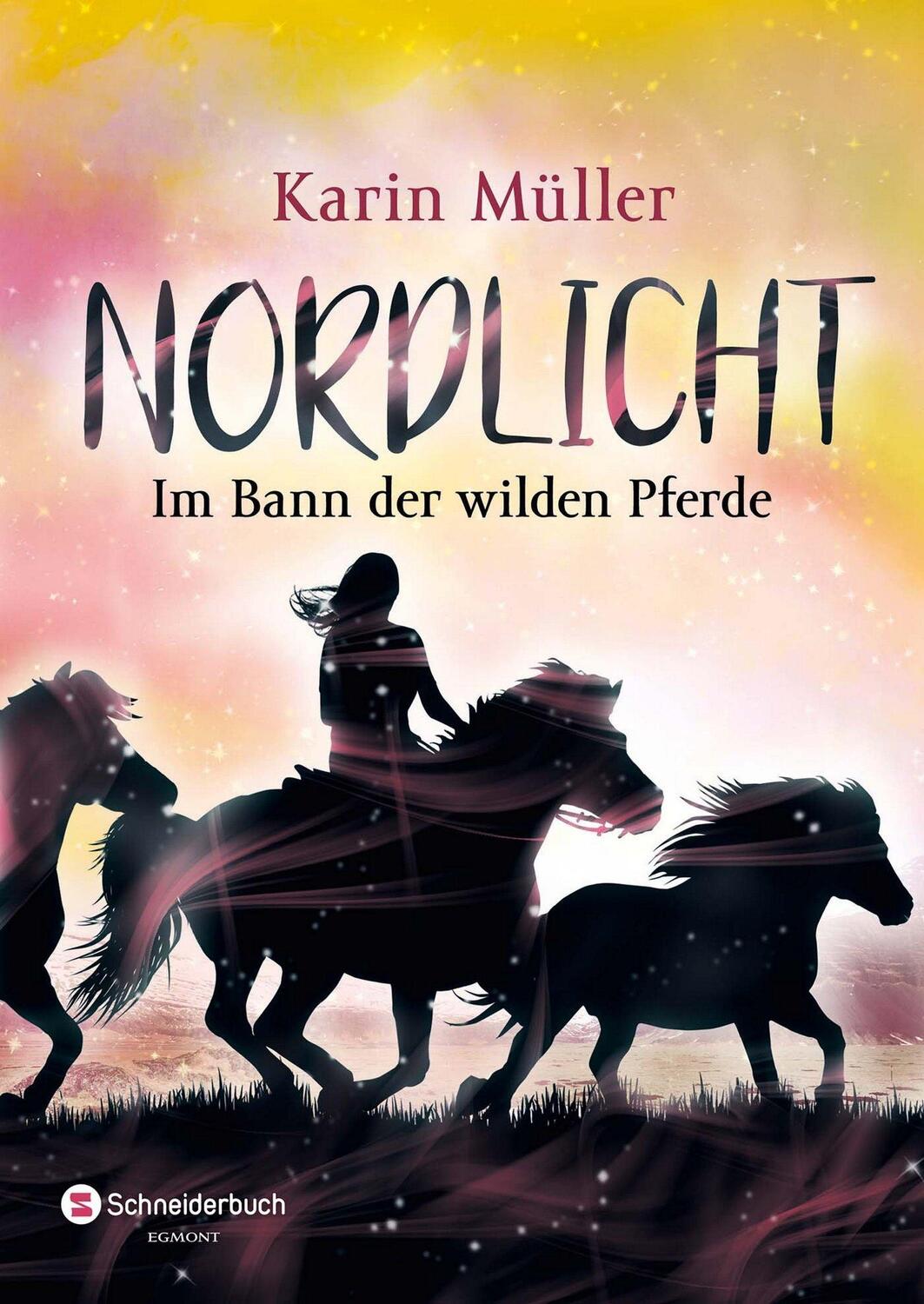 Cover: 9783505141768 | Nordlicht, Band 02 | Im Bann der wilden Pferde | Karin Müller | Buch