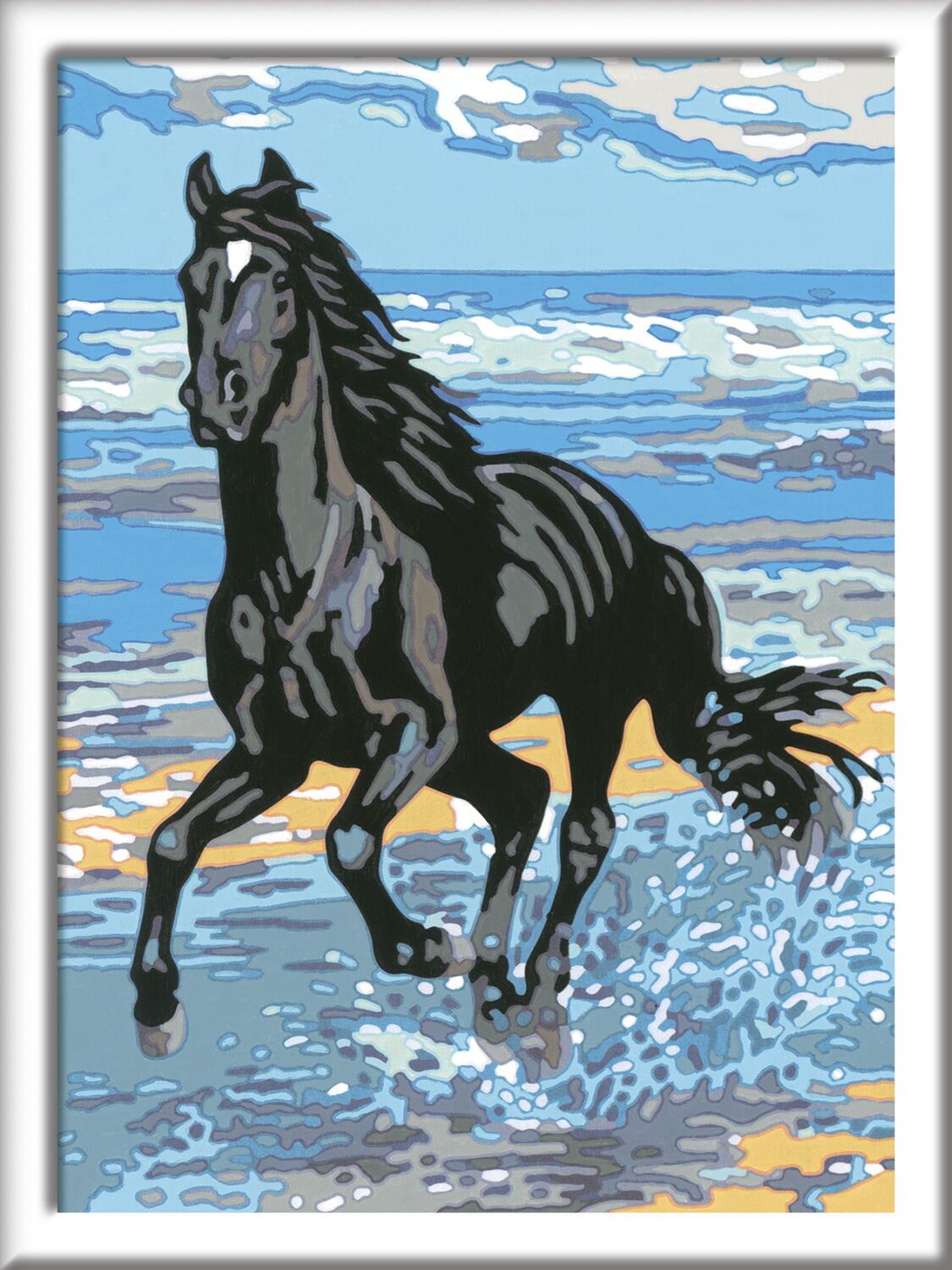 Bild: 4005556285655 | Pferd am Strand. Malen nach Zahlen Serie D Pferde | Spiel | Deutsch