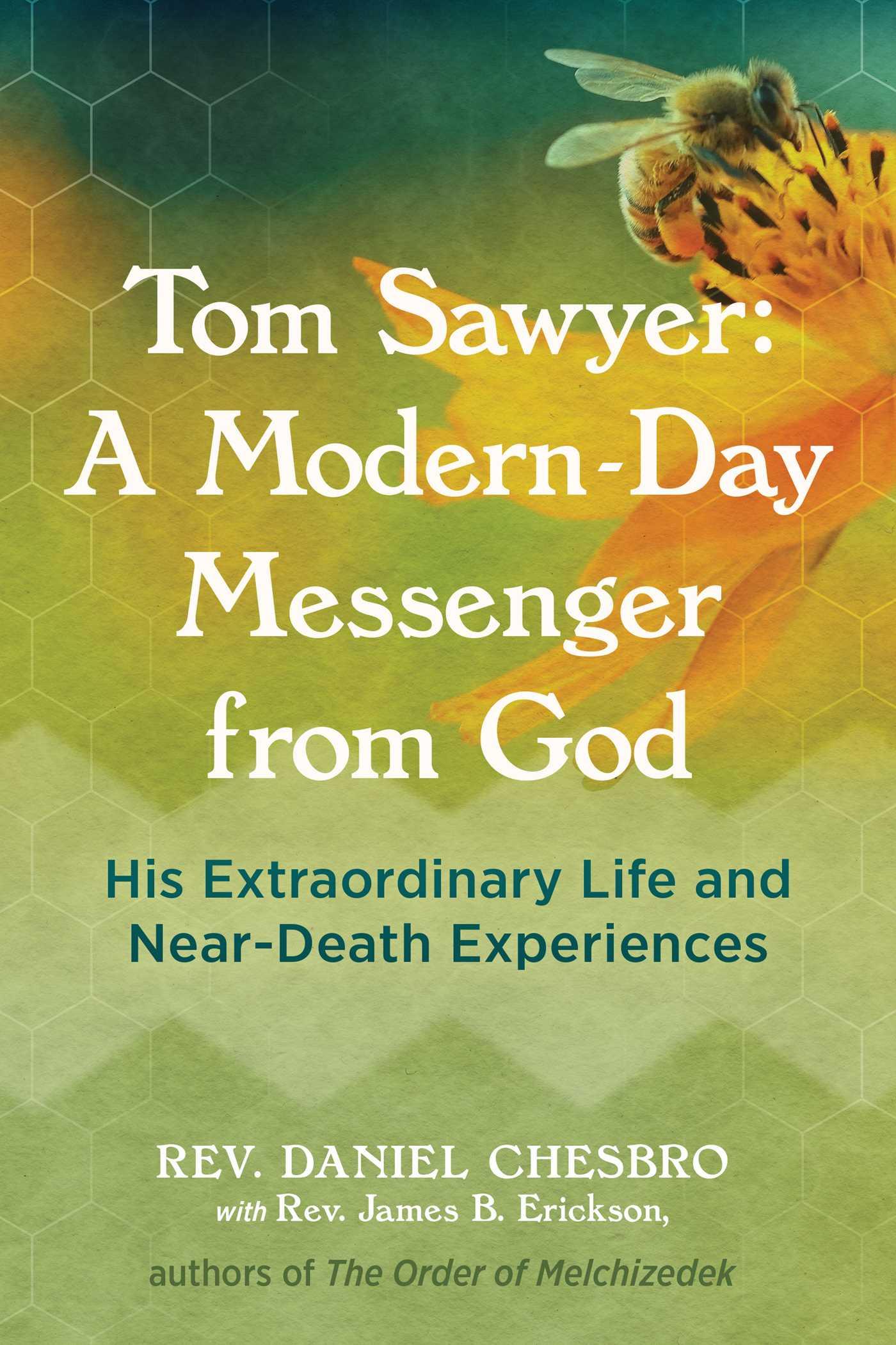 Cover: 9781644115169 | Tom Sawyer: A Modern-Day Messenger from God | Rev. Daniel Chesbro