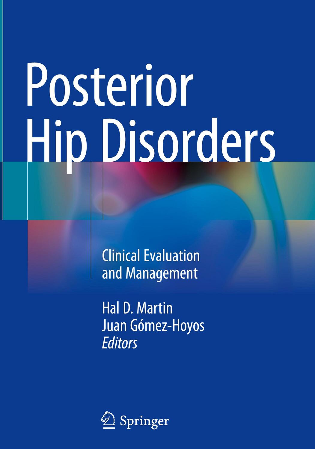 Cover: 9783319780382 | Posterior Hip Disorders | Clinical Evaluation and Management | Buch