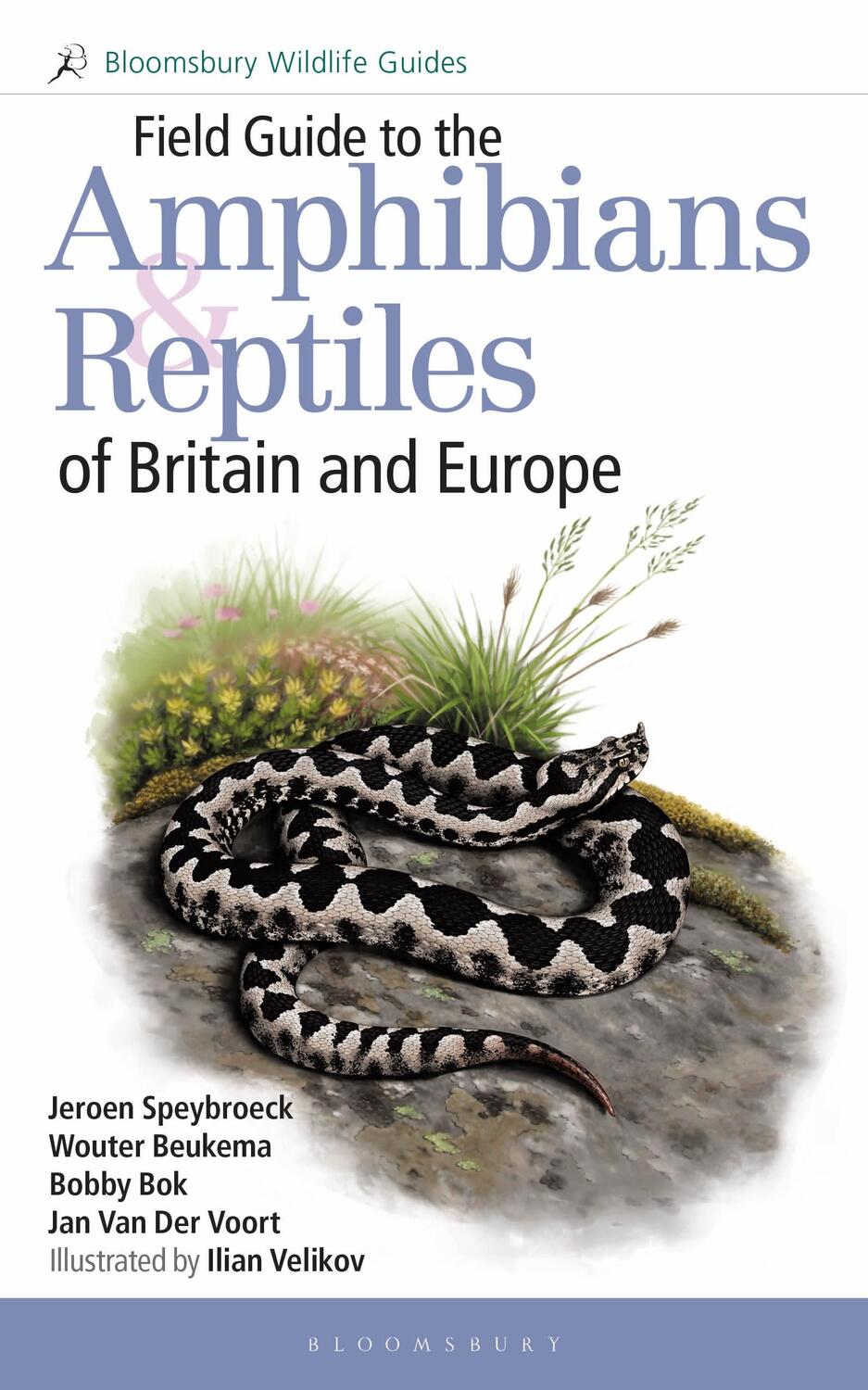 Cover: 9781472970428 | Field Guide to the Amphibians and Reptiles of Britain and Europe