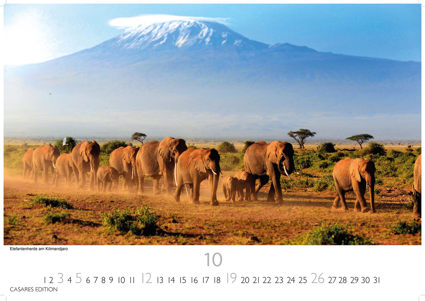 Bild: 9781835240601 | Kenia/Serengeti 2025 L 35x50cm | Kalender | 14 S. | Deutsch | 2025