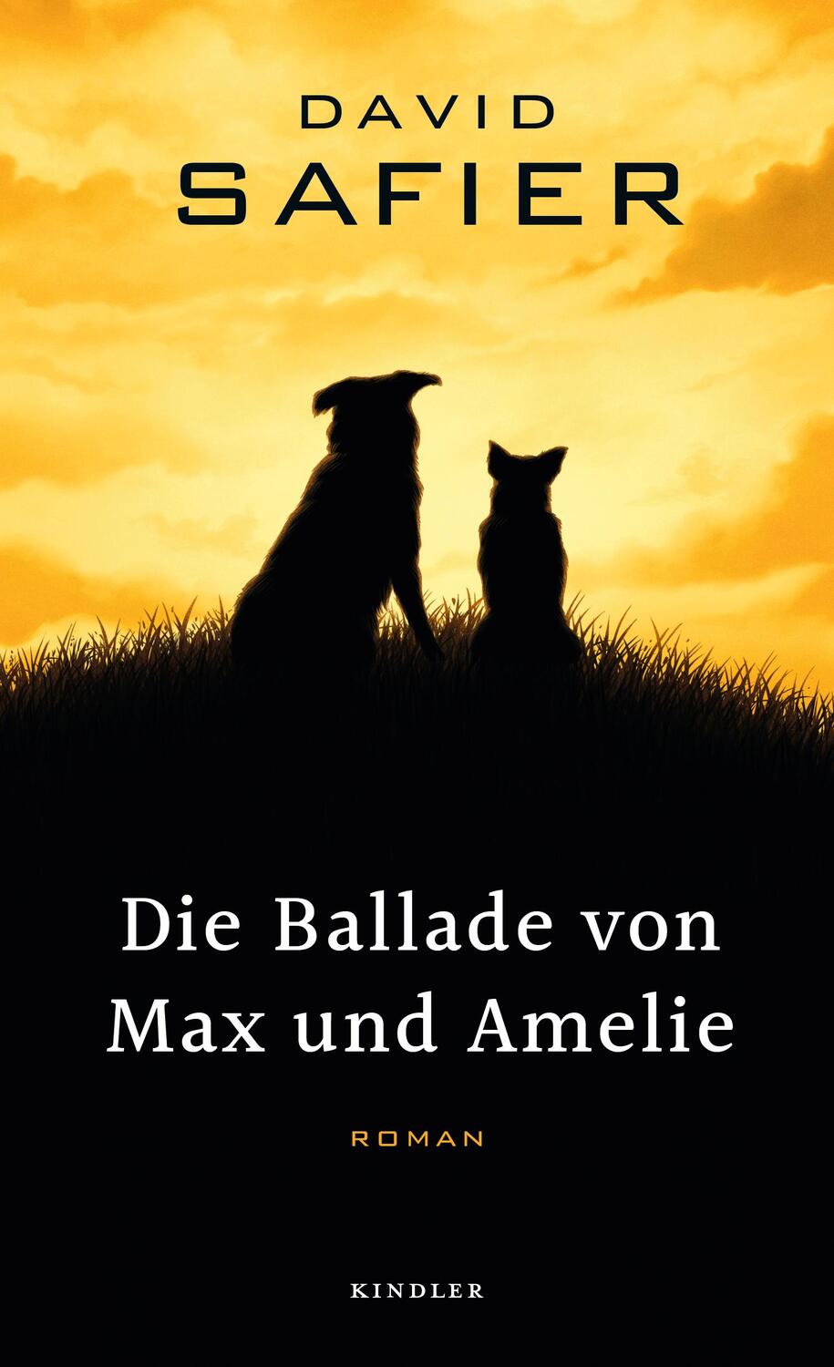 Cover: 9783463407098 | Die Ballade von Max und Amelie | David Safier | Buch | Deutsch | 2018