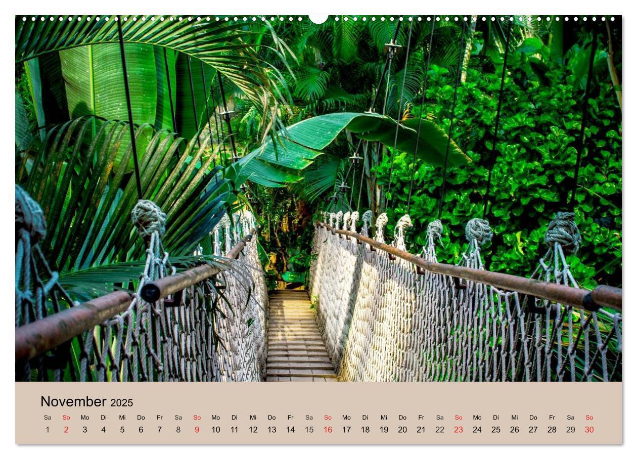 Bild: 9783435720392 | Brasilien. Impressionen (Wandkalender 2025 DIN A2 quer), CALVENDO...