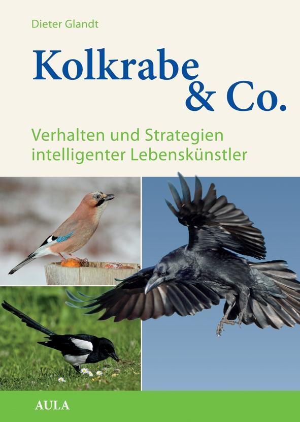 Cover: 9783891047859 | Kolkrabe & Co. | Verhalten und Strategien intelligenter Lebenskünstler