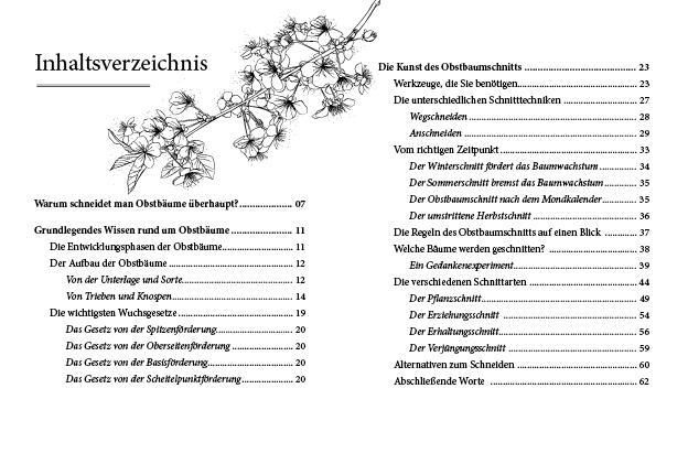 Bild: 9783710403057 | Das große kleine Buch: Obstbaumschnitt | Alles, was man wissen muss