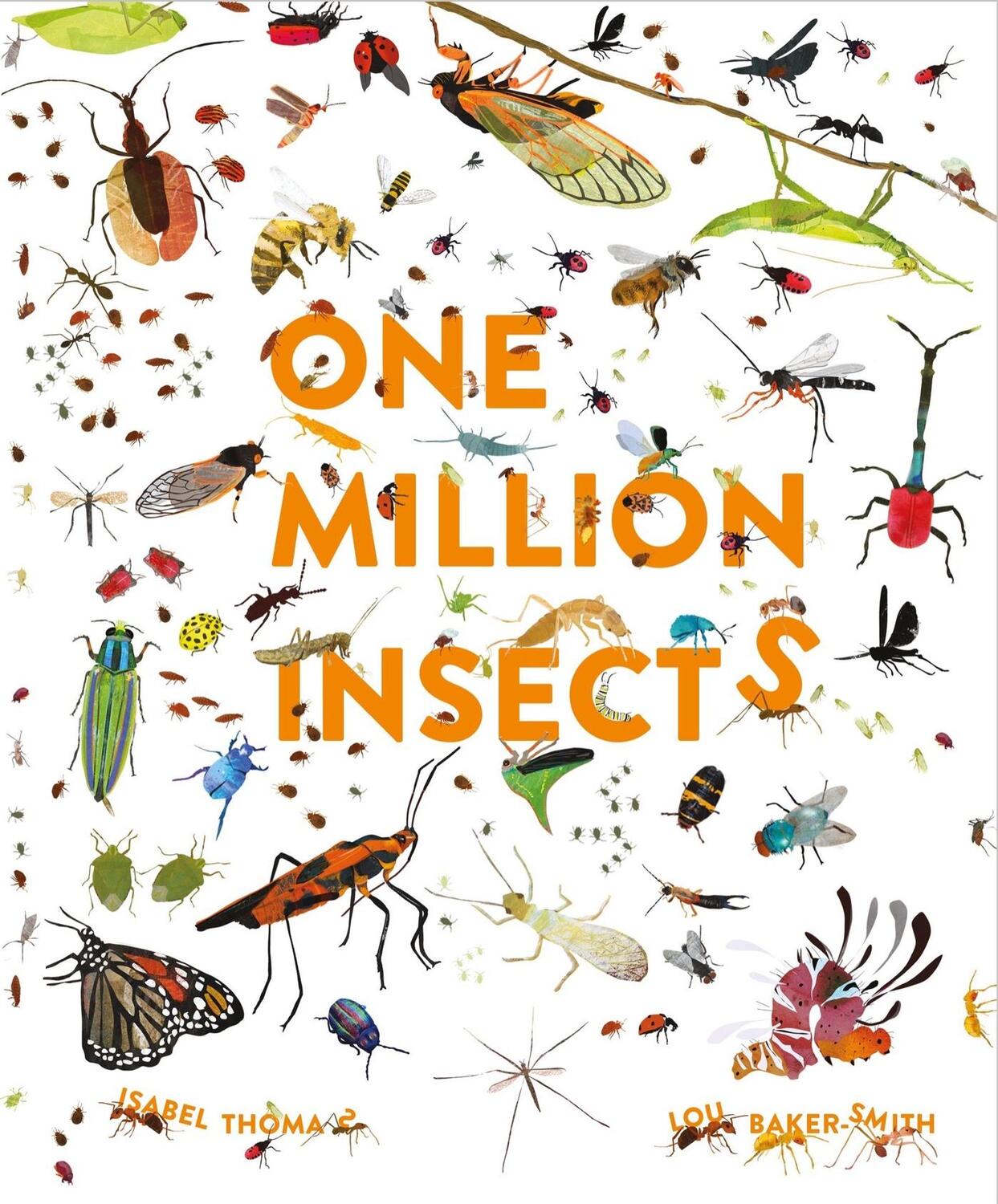 Cover: 9781913519025 | One Million Insects | Isabel Thomas | Buch | Gebunden | Englisch