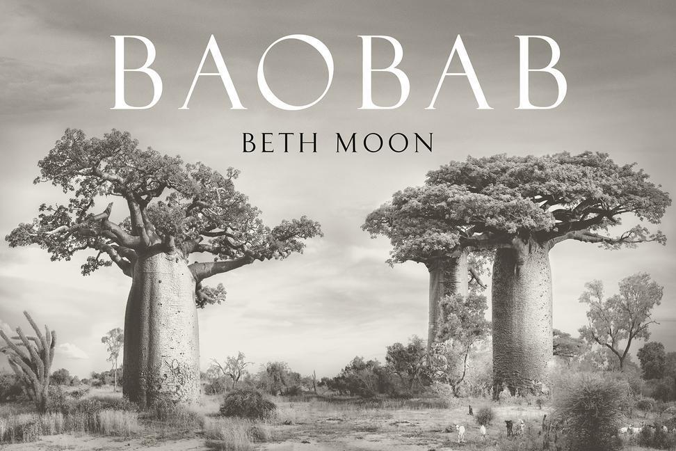 Cover: 9780789214096 | Baobab | Beth Moon | Buch | Englisch | 2021 | ABBEVILLE PR