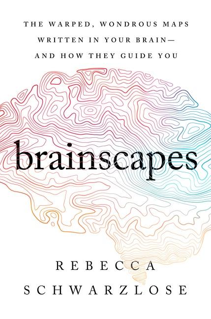 Cover: 9780358699323 | Brainscapes | Rebecca Schwarzlose | Taschenbuch | Trade PB | Englisch