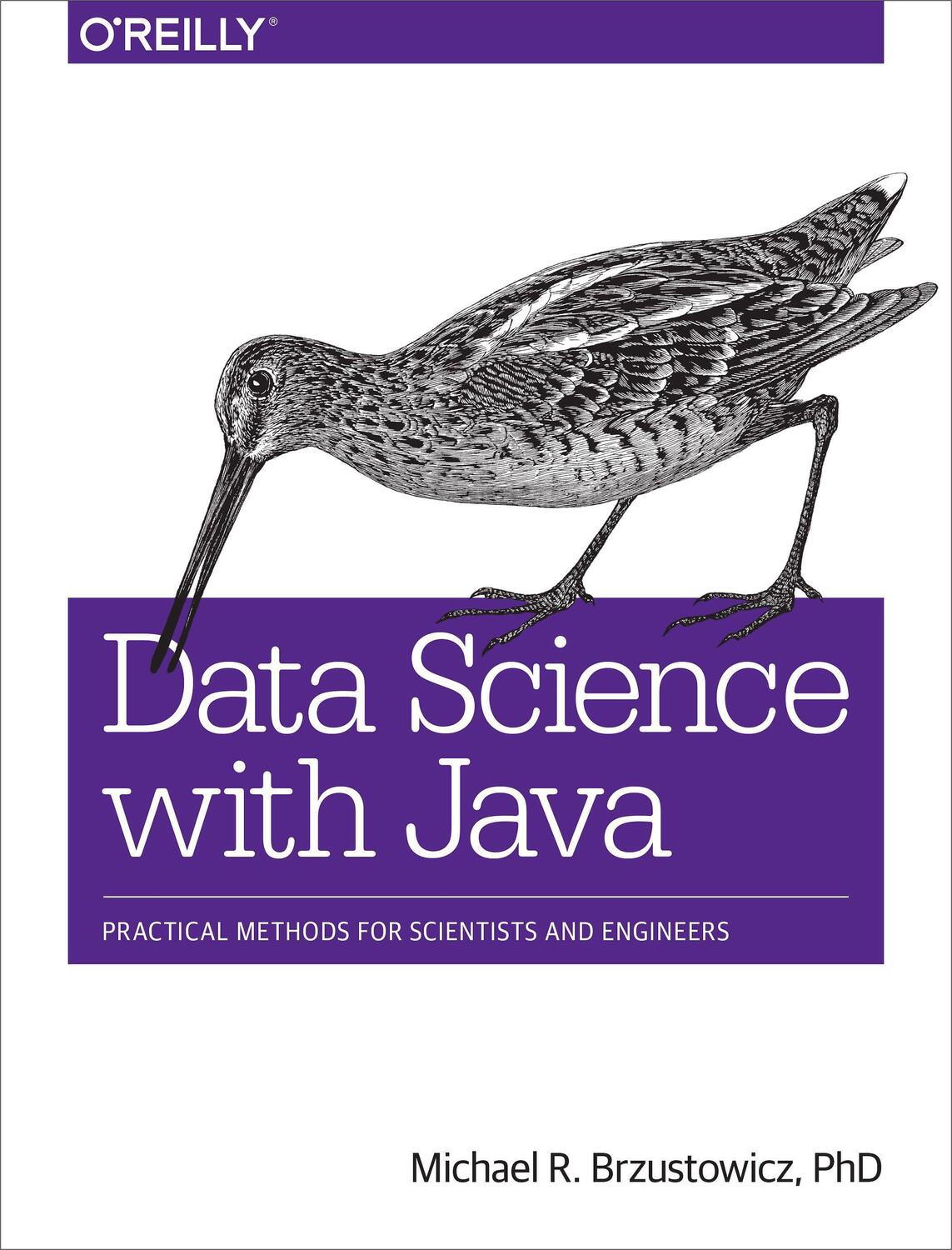 Cover: 9781491934111 | Data Science with Java | Michael Brzustowicz | Taschenbuch | Englisch