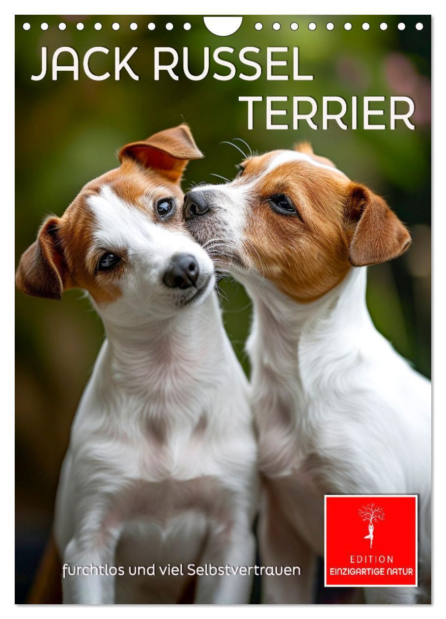 Cover: 9783383778759 | Jack Russel Terrier - furchtlos und viel Selbstvertrauen...