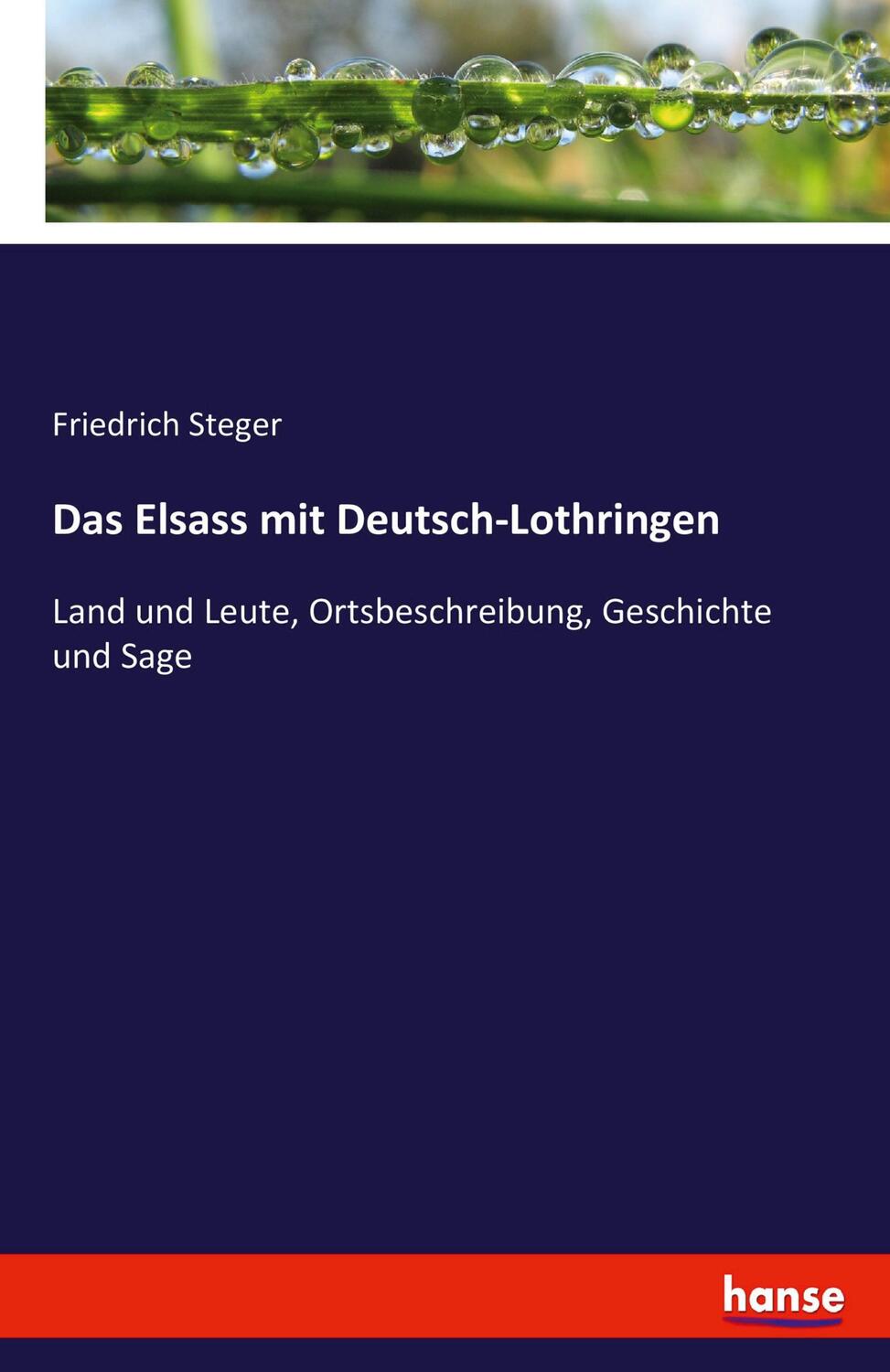 Cover: 9783742812865 | Das Elsass mit Deutsch-Lothringen | Friedrich Steger | Taschenbuch
