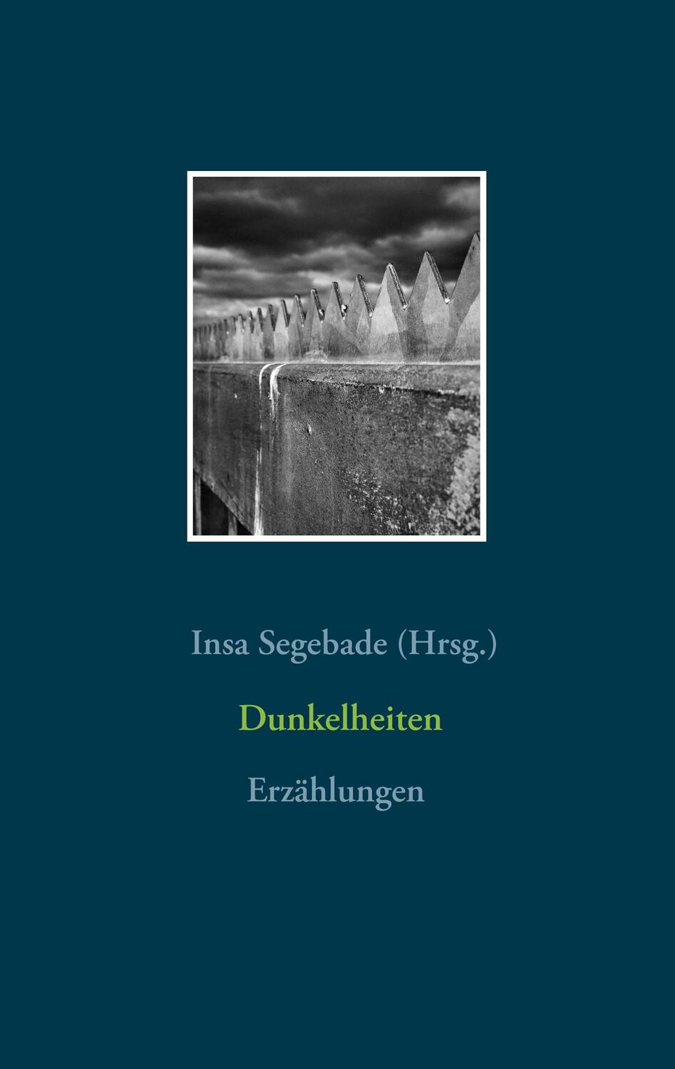 Cover: 9783749483693 | Dunkelheiten | Insa Segebade | Taschenbuch | Paperback | Deutsch